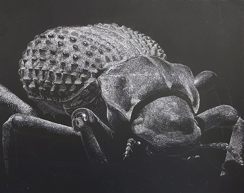 Drawing I : Olive Carpenter